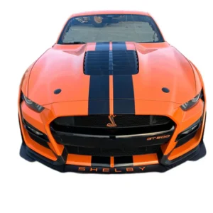 Body Parts-GT500